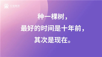 1611136499657314.jpg 4.jpg